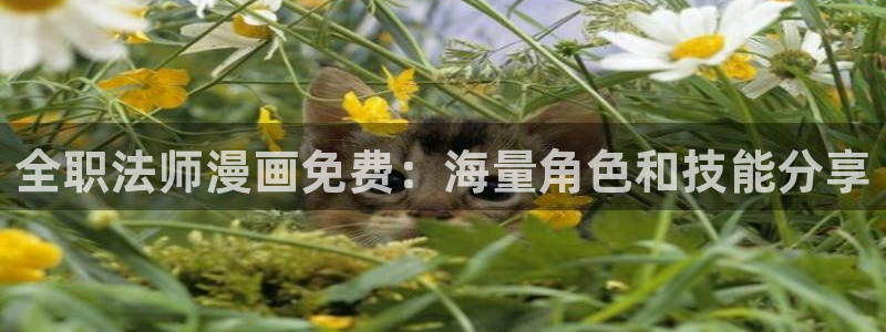 韩漫歪歪网站：全职法师漫画免费：海量角色和技能分享