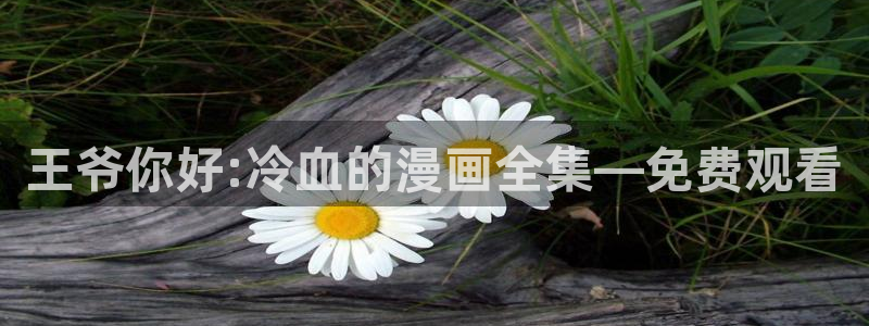 韩漫男女主漫画：王爷你好:冷血的漫画全集—免费观看