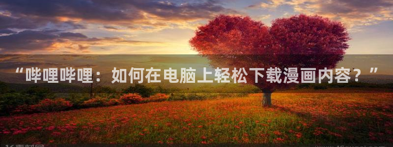 可以看韩漫动漫：“哔哩哔哩：如何在电脑上轻松下载漫画内容？”