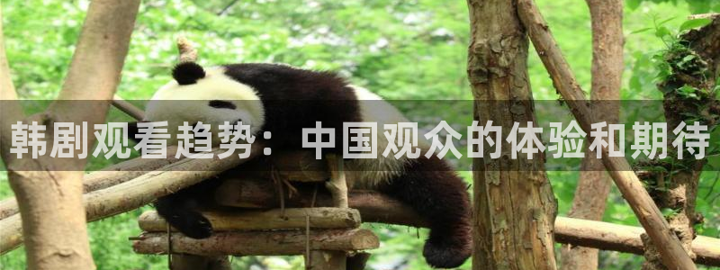 韩漫免费阅读漫画网：韩剧观看趋势：中国观众的体验和期待