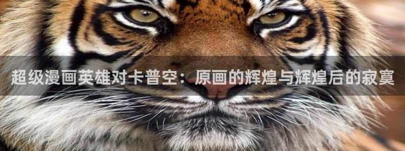 韩漫大全免费动漫在线观看：超级漫画英雄对卡普空：原画的辉煌与辉煌后的寂寞