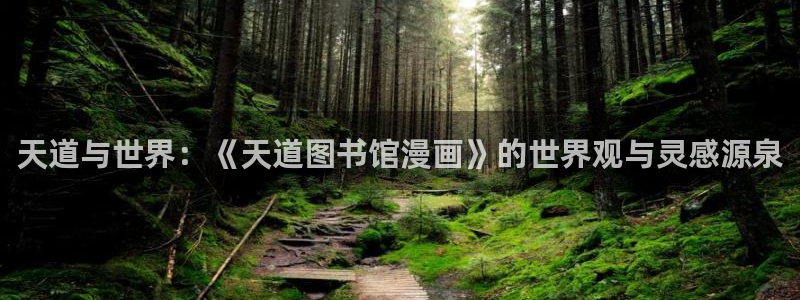 韩漫陷阱漫画：天道与世界：《天道图书馆漫画》的世界观与灵感源泉